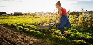 There was something about the clampetts that millions of viewers just couldn't resist watching. Types Of Farming Trivia Facts Quiz Proprofs Quiz