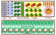 The Tasteful Garden Garden Planner Garden Planner Vegetable Garden Planner Vegetable Garden Planning
