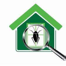 Mount dora vacation rentals mount dora vacation packages flights to mount dora mount dora. Ambush Pest Solutions Inc Home Facebook
