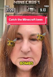 Chasing Minecraft Bees: How Many Can You Catch?