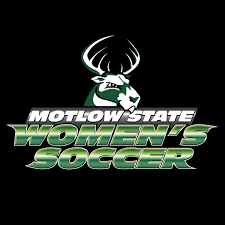 Lavazza point espresso machine no steam. Motlow State Soccer Home Facebook
