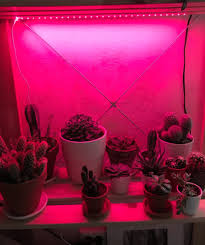 Check spelling or type a new query. Best Chinese Led Grow Lights 2021 Aliexpress Glowlight Reviews Best China Products