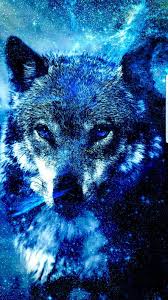 We did not find results for: Cool Wolf Wallpaper Posted By Christopher Johnson
