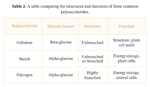 Check spelling or type a new query. Lesson Explainer Carbohydrates Nagwa