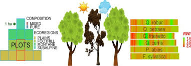 Faceți clic pe butonul verde pentru a începe descărcarea. Climate Change Effects On Tree Growth From Romanian Forest Monitoring Level Ii Plots Sciencedirect