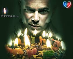 Pagesmediatv & moviestv showextravideoshappy birthday, pitbull! Happy Birthday Pitbull By Zoheb Khan By Zohebkhoja On Deviantart