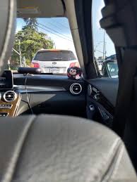My Lyft Driver Has A Tiny Stuffed Animal In The Corner Of His Car Lyft Driver Car Buddha Background