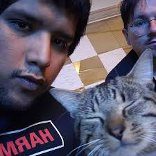 What is the best controller to use to avoid stick drift?