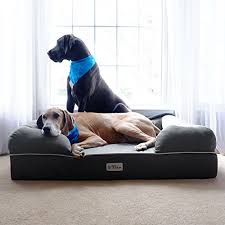 This policy helps support the website's operation. Petfusion Ultimate Pet Bed Lounge In Premium Edition With Solid Memory Foam Replacement Covers Available