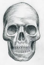 How To Draw Skulls Skulls Drawing Skeleton Drawings Drawings