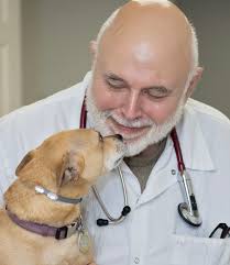 Brian Vitelli's Instagram, Twitter & Facebook