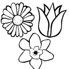 Free printable flowers coloring pages for adults. Coloring Pages For Adults Flowers Bestappsforkids Com