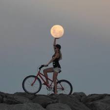 Marlene chega a são paulo vinda do interior, onde foi criada por um casal amigo, querendo conhecer seus pais e contando apenas com um endereço onde recebe regularmente um mesada. Udachnyj Kadr Bicycle Photo Pics