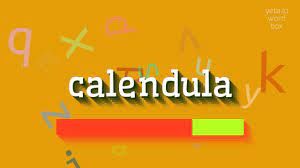 Pronunciation of calendula with 2 audio pronunciations. How To Say Calendula High Quality Voices Youtube
