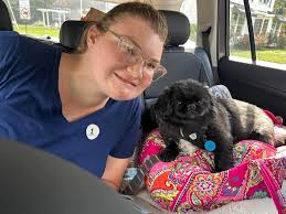 Seeking Roommates in Boston Area for Shared Accommodation