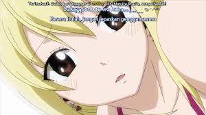 Anoboy Fairy Tail Hal