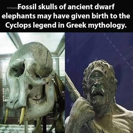 images?q=tbn:ANd9GcTic3y7vzK-VMJFlmIarD5nJKz-j6ho1IHcBWYwMHzS8g&s=10