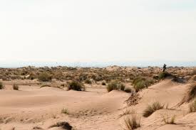 Hier finden sie die optimalen glampingunterkünfte auf der karte, mit einfachen filtern, kategorien und bildern. Meteo Plage De L Espiguette Le Grau Du Roi 30241 Gard Previsions Meteo Plage Mer Et Marees La Chaine Meteo