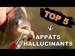 Appats De Peche Appats De Peche Croquette Pour Chien Peche En Mer