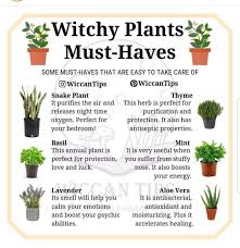 Plant Must Have Witch Herbs Witchy Garden Magical Herbs