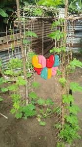 Pokok pokok di kebun belakang rumah abah di kedah ada pokok rare ooo. Cantikkan Dan Kreatif Kawan Ku Ni Kebun Mini Tepi Rumah Facebook