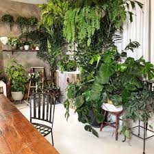This Is What My Plant Workshop Workspace Looked Like About A Month Ago When I Was In The Midst Or Transforming It Int Plants Plant Workshop Plant Decor Indoor