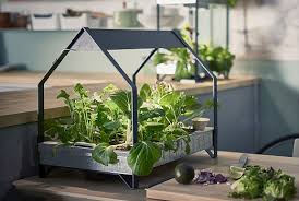 From time to time though, the swedish retailer will phase out certain collections entirely or reintroduce them with slight tweaks. Unsere Top 5 Indoor Gardening Trends Fur 2017 Ikea Unternehmensblog