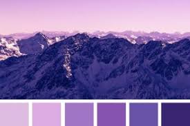 Maybe you would like to learn more about one of these? Royal Blue Magenta Orange And Purple Color Scheme Color Palette 67 1 Fab Mood Wedding Colours Wedding Themes Wedding Colour Palettes