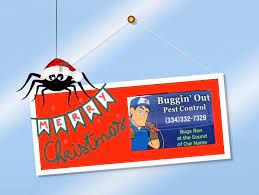 Prevention is your best bet. Buggin Out Pest Control Home Facebook