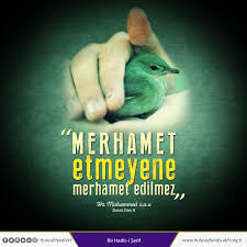 Merhamet Merhamet Etmeyene Merhamet Edilmez Hz Muhammed Sav Birhadis Hadis Merhamet Resim Galeri