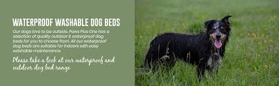 Older dogs frequently suffer from joint pain and a memory foam dog bed is the perfect way to ensure that your pup rests its spine and gets a good night's sleep. Shop Washable Dog Beds Outdoor Dog Beds Online Uk Paws Plus One
