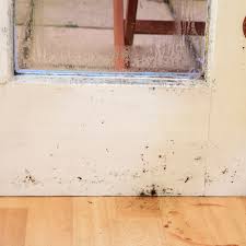 We did not find results for: How To Kill Mold On Wood This Old House