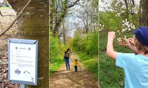 Erlebniswege Und Wanderungen In 2020 Wanderung Schone Spielplatze Erlebnis