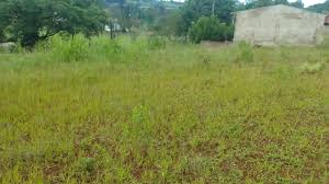 Sofá reformado inteiro, super confortável o jogo por 550,00 higienizado.  Parcelamos no cartão e entregamos com taxa.