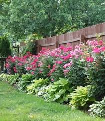 Frugal Columbus Mom 5 21 12 Backyard Landscaping Designs Backyard Landscaping Plants