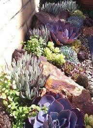 Idea Tricks And Also Overview With Respect To Receiving The Best Result As Well As Succulent Landscape Design Rock Garden Landscaping Landscaping With Rocks