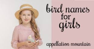Five n names for girls currently rank in the us top 100: The Great Big List Of Bird Names For Girls Appellation Mountain