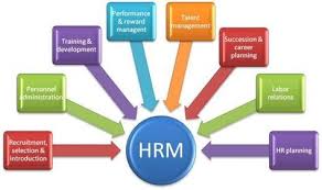 What Is Human Resource Management And Why It Is The Backbone Of The Company Http Human Resource Management Human Resource Management System Human Resources