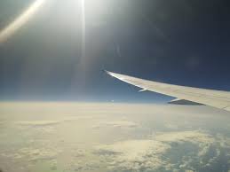 22 in business class and 232 in economy class. Seat Map Tui Boeing B787 Dreamliner Seatmaestro