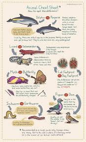 Pin By Elizabeth Gardner On Nature S Wonders All About Animals Science And Nature Animal Science