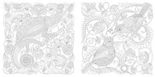 Download Animal Kingdom Color Me Draw Me Millie Marotta Adult Coloring Book Series By Millie Marotta Paperback Barnes Noble