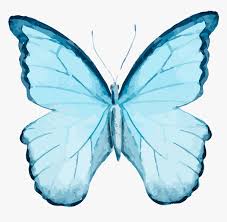 Watercolor painting of a blue butterfly. Watercolor Blue Butterfly Png Transparent Png Transparent Png Image Pngitem