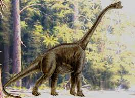 Dinosaurier Teil 3 Die Dinosaurier Des Jura Zeitalters Der jura beschreibt eine epoche der erdgeschichte, die vor etwa 201 millionen jahren einsetzte und circa 55 millionen jahre andauerte.