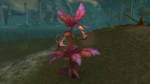 Discord.gg/3qz2b4b wanna know what is the best way to farm anchor weed? Anchor Weed Item World Of Warcraft