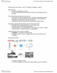 This foreign material can come from other organisms of the same species, from a whole different species, or synthetic sources. Hlsc 3463u Lecture Notes Fall 2019 Lecture 15 Genetically Modified Crops Genetically Modified Organism Transgene