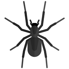 This is a question a lot of people ask when they see small insects in their home. Diy Pest Control Pests Org
