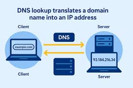 Image result for tbn:o4yY4AiHCnw4lM::www.trytop.com/pic/pic.php%3Fu%3D394mXG39%26i%3D6325