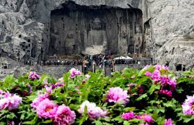 Check spelling or type a new query. The History And Development Of Luoyang Peony Culture Festival China 7 Day