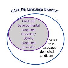 Published by the american psychiatric association (apa), the dsm covers all categories of mental health disorders for both adults and children. Bishopblog Developmental Language Disorder Dld In Relation To Dsm 5