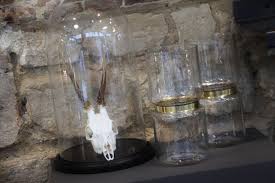 La Deco Chez Moa Interieur Le Buzz De Rouen Deco Vases Luminaire